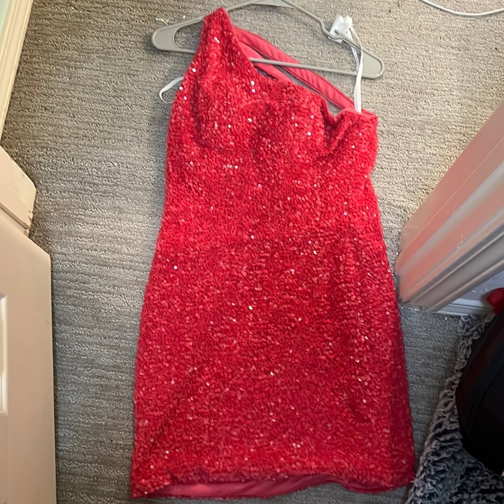 Brand new pink Berlinovva dress with tags